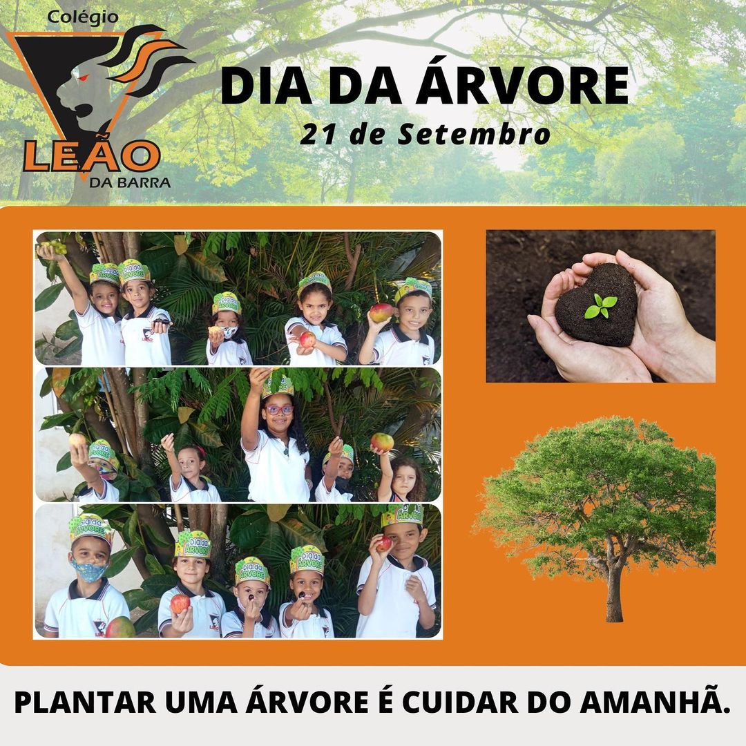 Dia da Árvore
