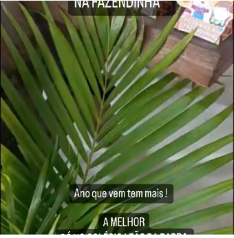 Colônia de Férias