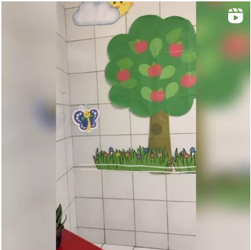 As Plantas e Sua Importância