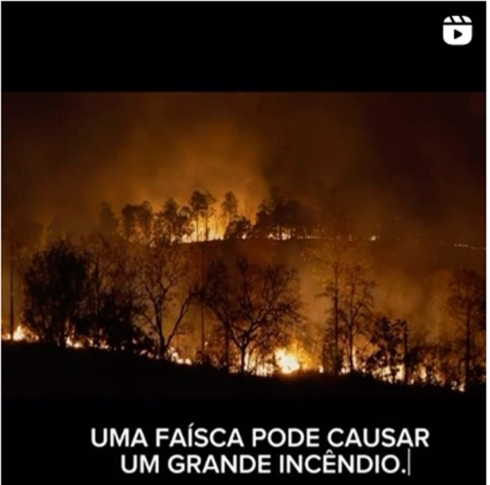 Dia da Árvore