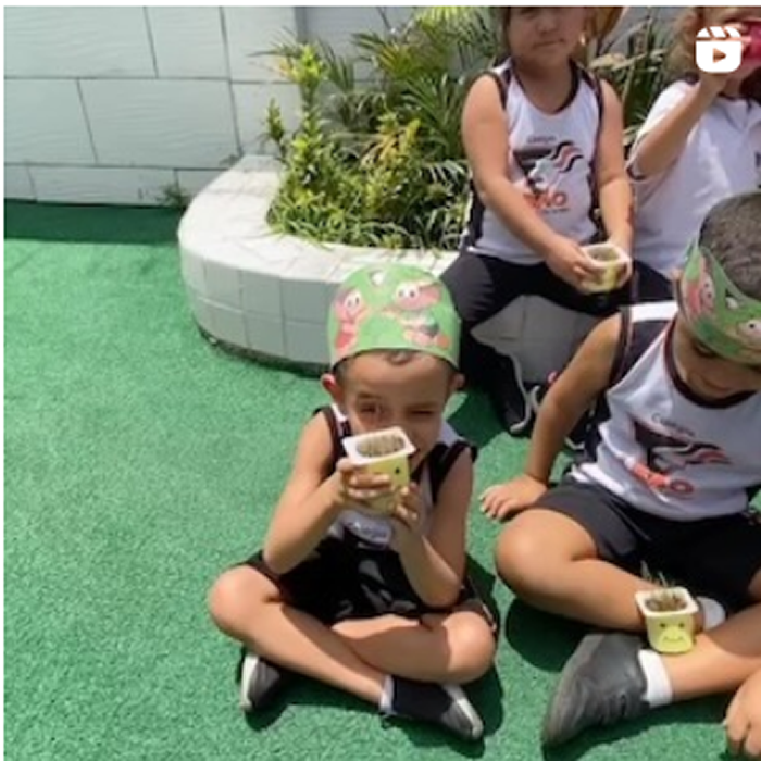 Dia da Árvore