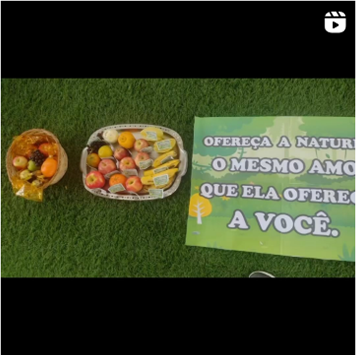 Dia da Árvore