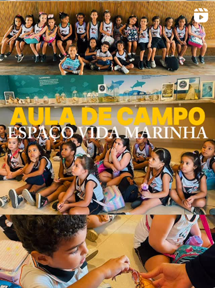 Uma Aventura Submarina: Nossas Turmas em Aula de Campo!