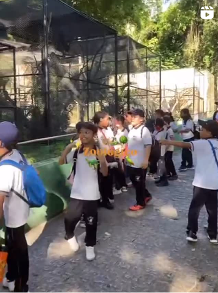 Dia Incrível no Zoológico