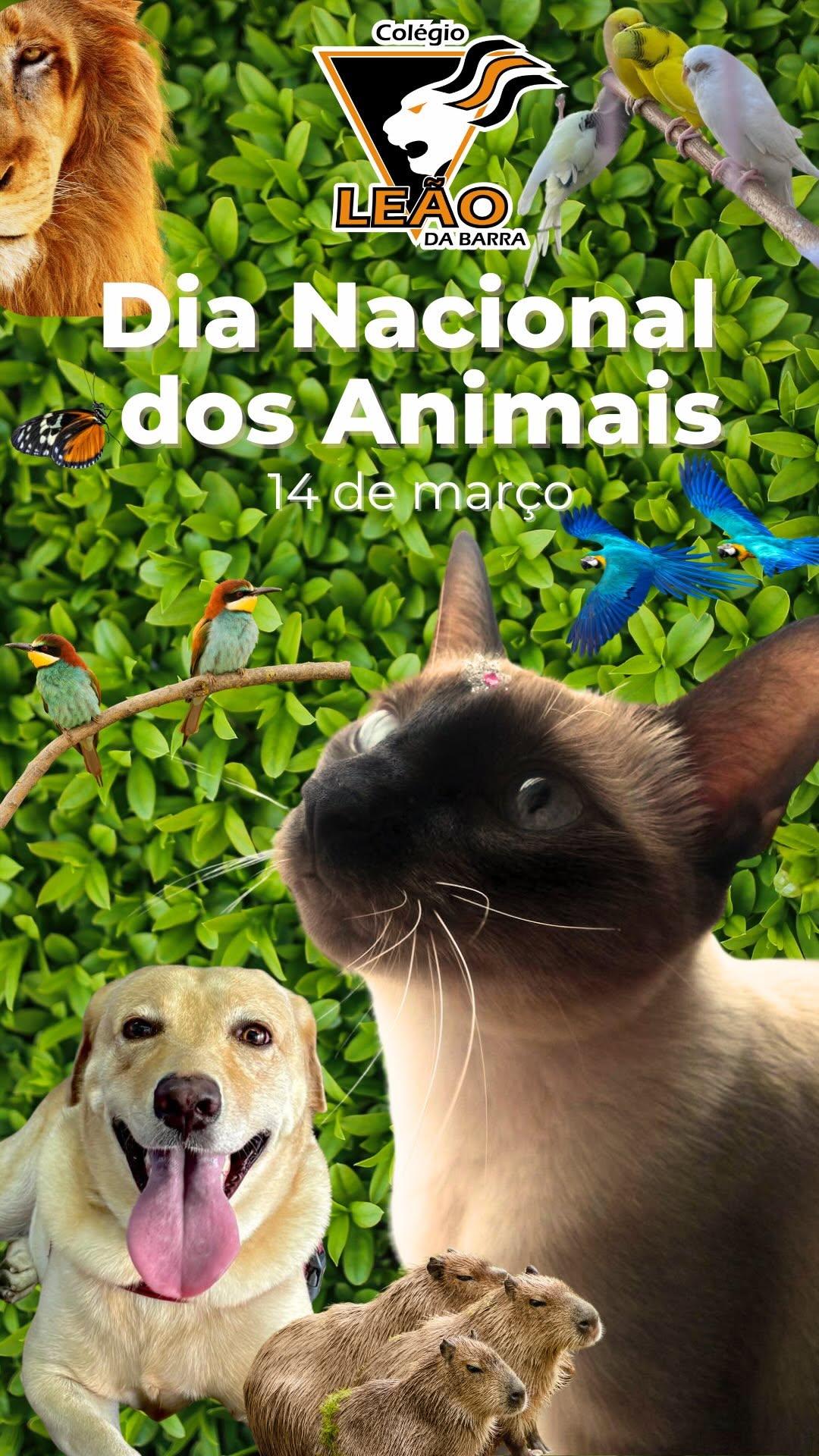 Dia dos Animais na Escola!