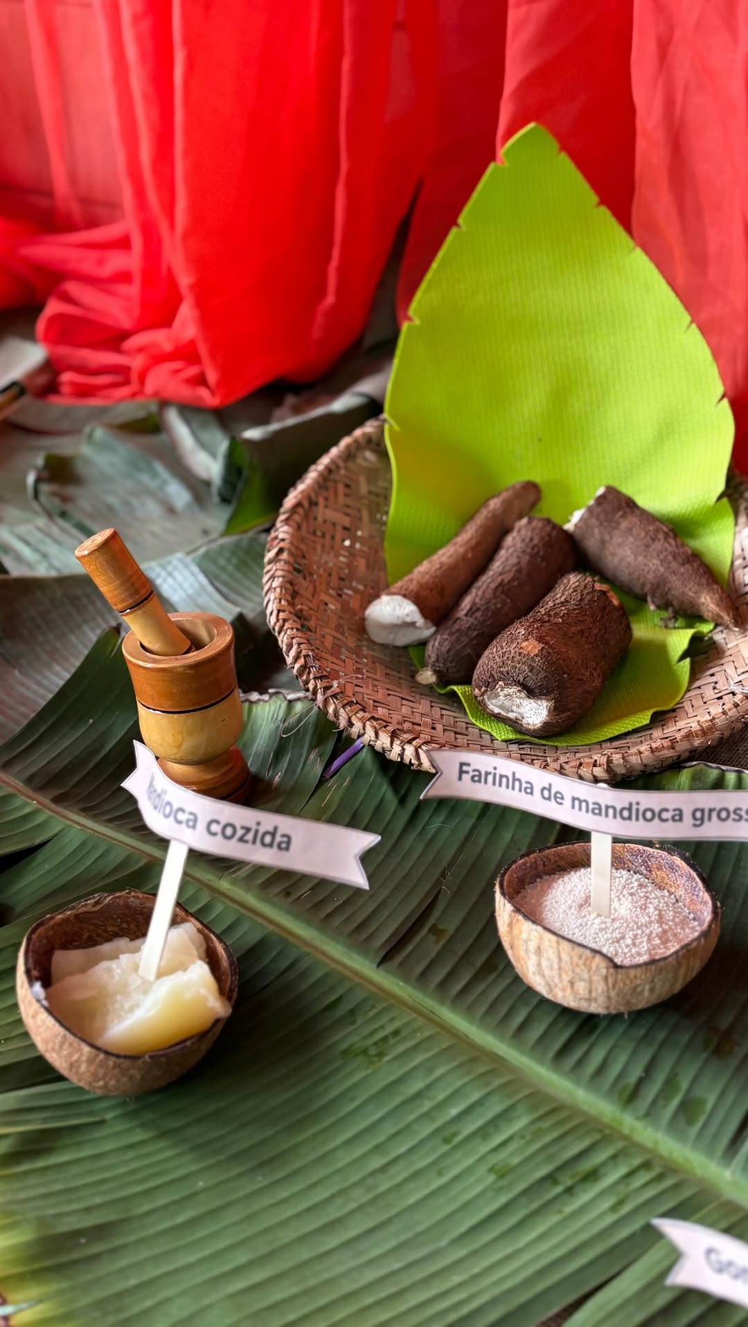 Aula de Culinária com a Professora Domani!